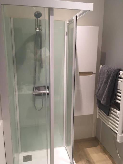 אלבי Appartement Touristique, Proche De La Cathedrale מראה חיצוני תמונה